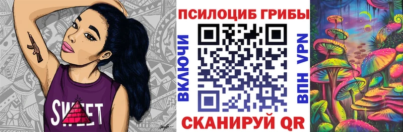 blacksprut вход  Буинск  Псилоцибиновые грибы Psilocybine cubensis 